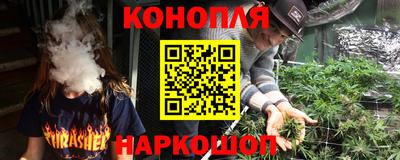 шишки Донской