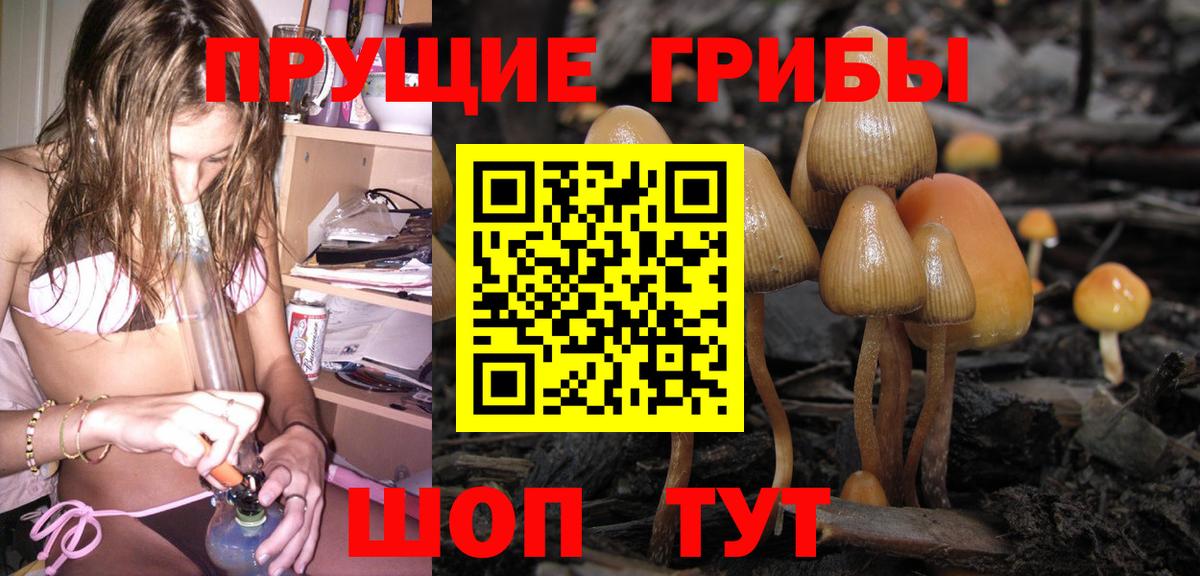 Галлюциногенные грибы мухоморы  Вход с VPN  закладки  Заинск 