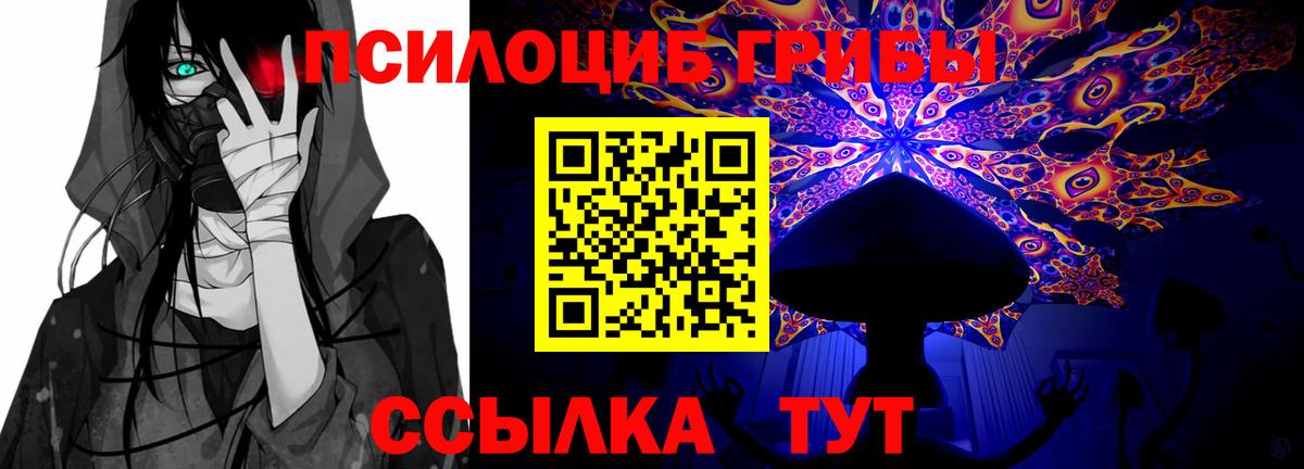 Псилоцибиновые грибы Psilocybe Заинск